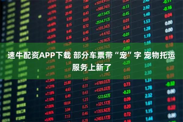 速牛配资APP下载 部分车票带“宠”字 宠物托运服务上新了