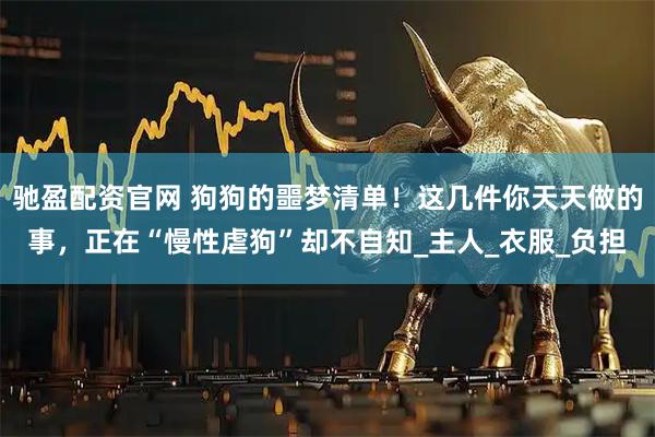 驰盈配资官网 狗狗的噩梦清单！这几件你天天做的事，正在“慢性虐狗”却不自知_主人_衣服_负担