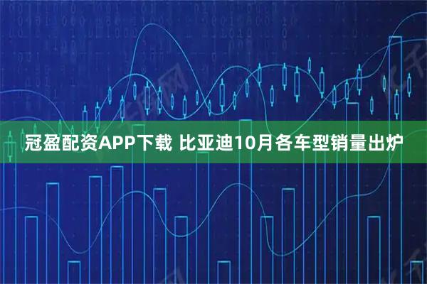 冠盈配资APP下载 比亚迪10月各车型销量出炉
