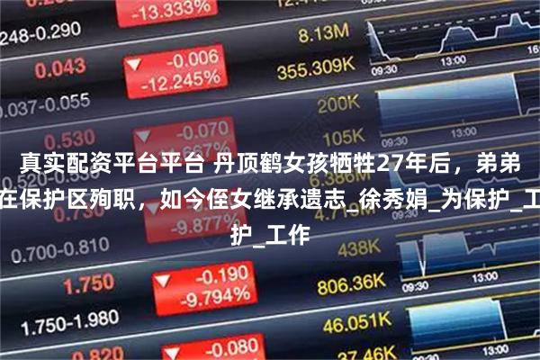 真实配资平台平台 丹顶鹤女孩牺牲27年后,弟弟也在保护区殉职,如今侄女继承遗志_徐秀娟_为保护_工作