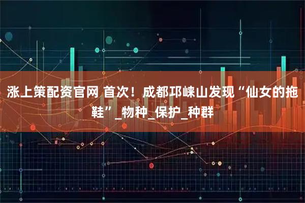 涨上策配资官网 首次！成都邛崃山发现“仙女的拖鞋”_物种_保护_种群